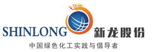 Shandong Xinlong Technology Co., Ltd.