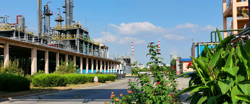 Shandong Xinlong Technology Co., Ltd.     