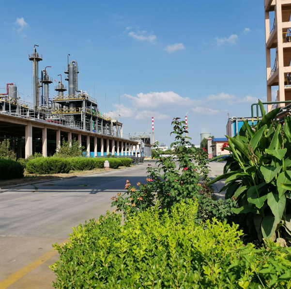 Shandong Xinlong Technology Co., Ltd.