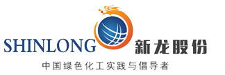 Shandong Xinlong Technology Co., Ltd.