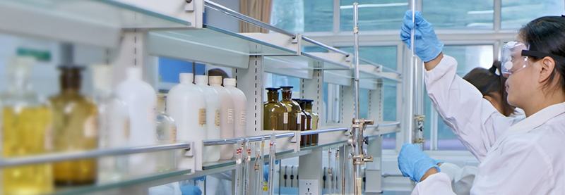Shandong Xinlong Technology Co., Ltd.